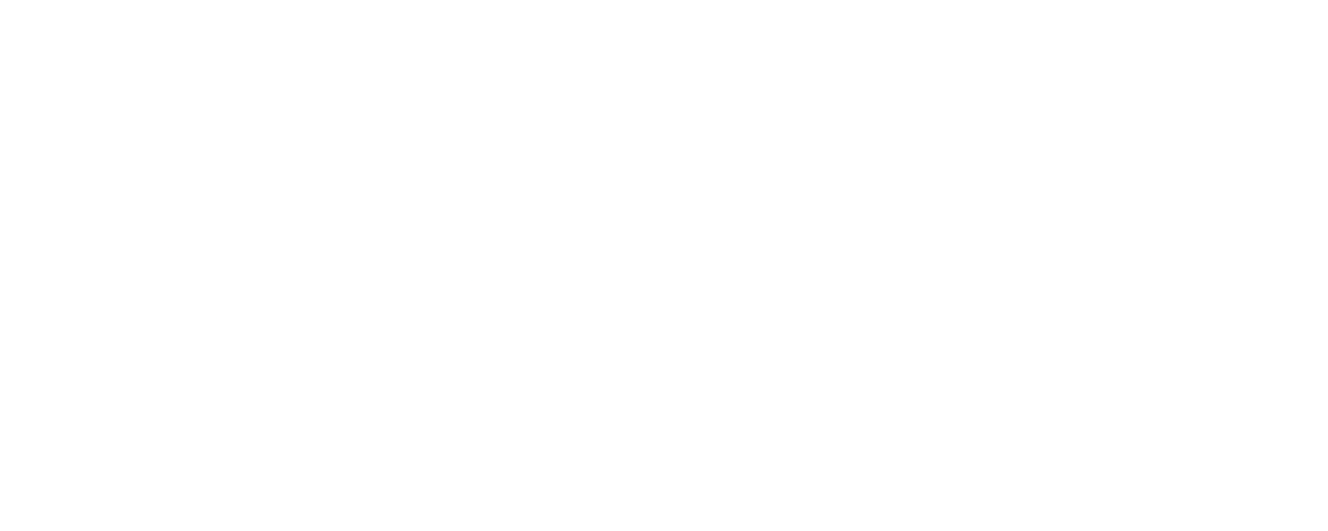 Salumi Logo